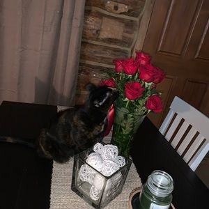 Meet your Posher, Summer